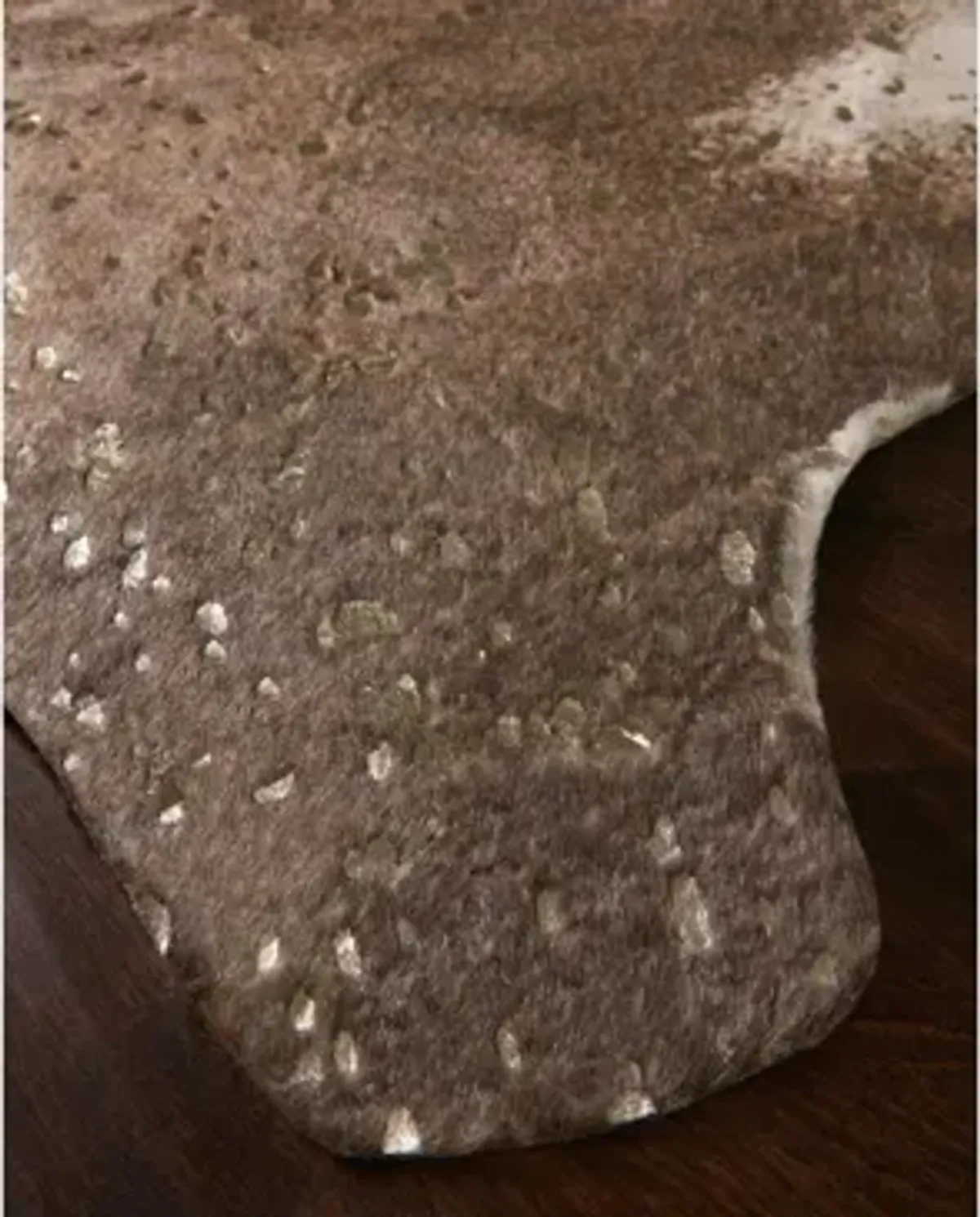 Bryce 5 x 8 Area Rug