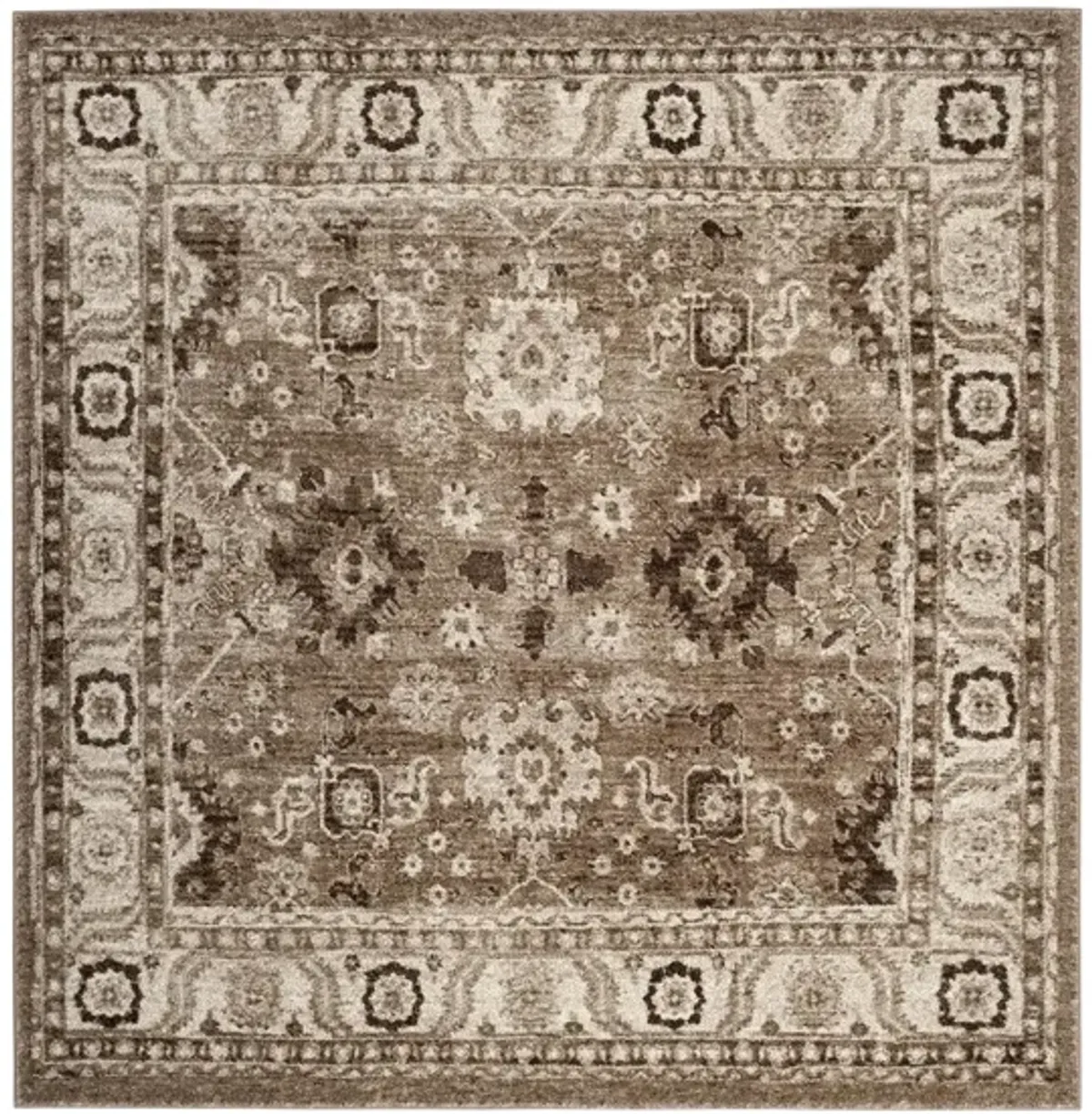 Avicenna Taupe Area Rug in Taupe by Safavieh