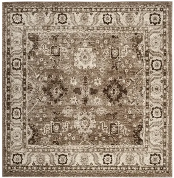 Avicenna Taupe Area Rug