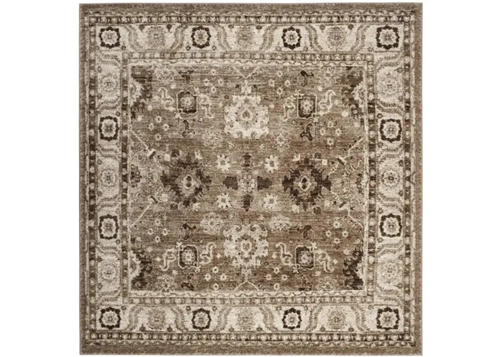 Avicenna Taupe Area Rug in Taupe by Safavieh