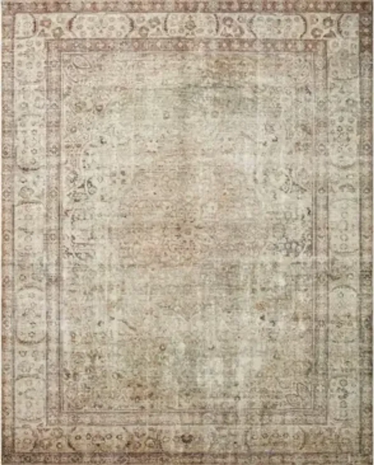 Margot Area Rug in Antique/Sage by Loloi Rugs