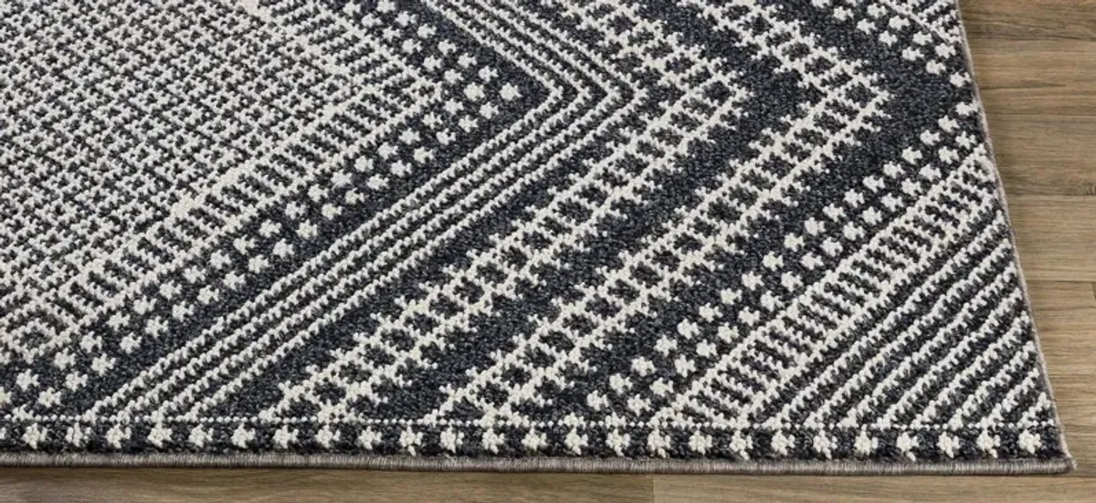 Ariana Indoor/Outdoor Area Rug