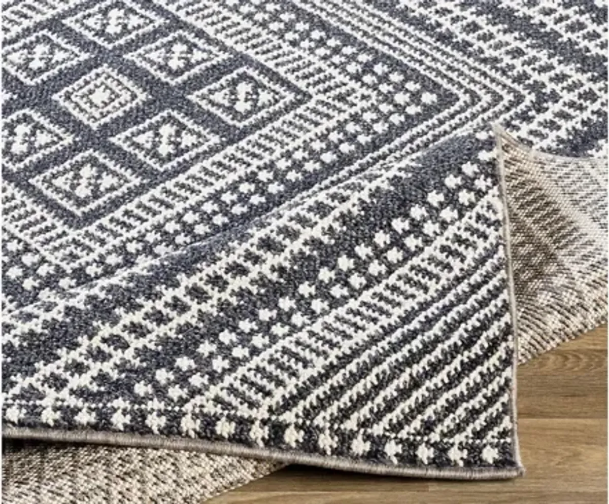 Ariana Indoor/Outdoor Area Rug