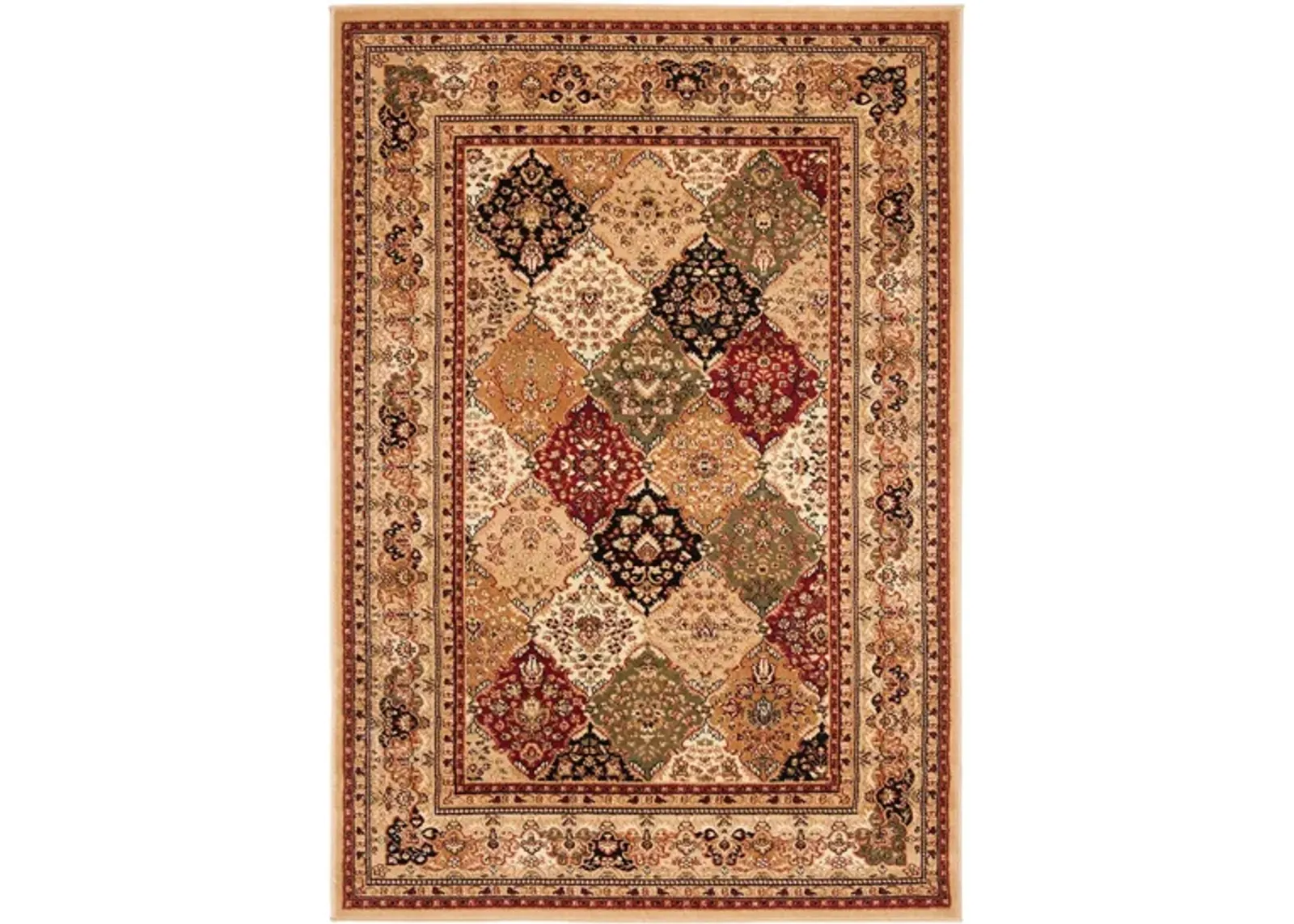 Portsmouth Area Rug in Multi / Beige by Safavieh