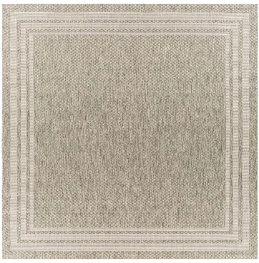 Eagean Bordered Indoor/Outdoor Area Rug in Oatmeal, Gray, Light Beige, Taupe by Surya
