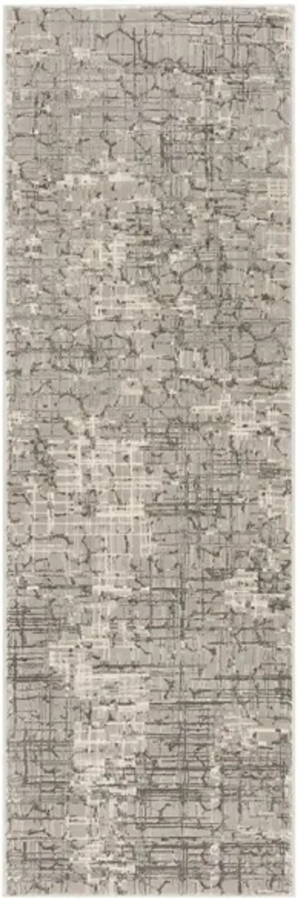 Sosa Area Rug in Gray by Safavieh