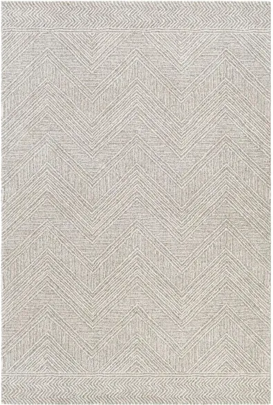 Gavic Rug in Silver Gray, Beige, Charcoal by Surya