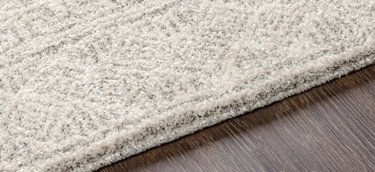 Gavic Rug