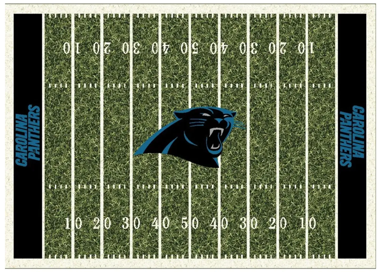 NFL Homefield Rug in Carolina Panthers by Imperial International