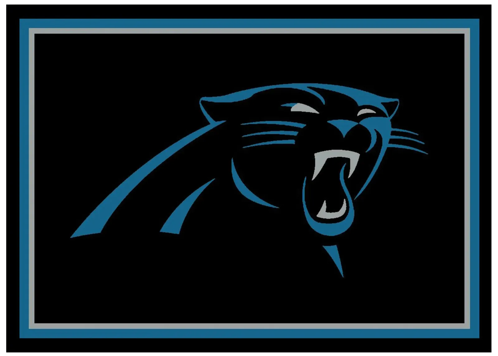 NFL Spirit Rug in Carolina Panthers by Imperial International