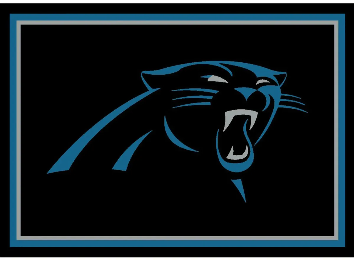 NFL Spirit Rug in Carolina Panthers by Imperial International