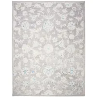 Kruse Area Rug in Gray & Ivory by Safavieh