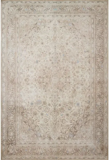 Loren Area Rug in Sand/Taupe by Loloi Rugs