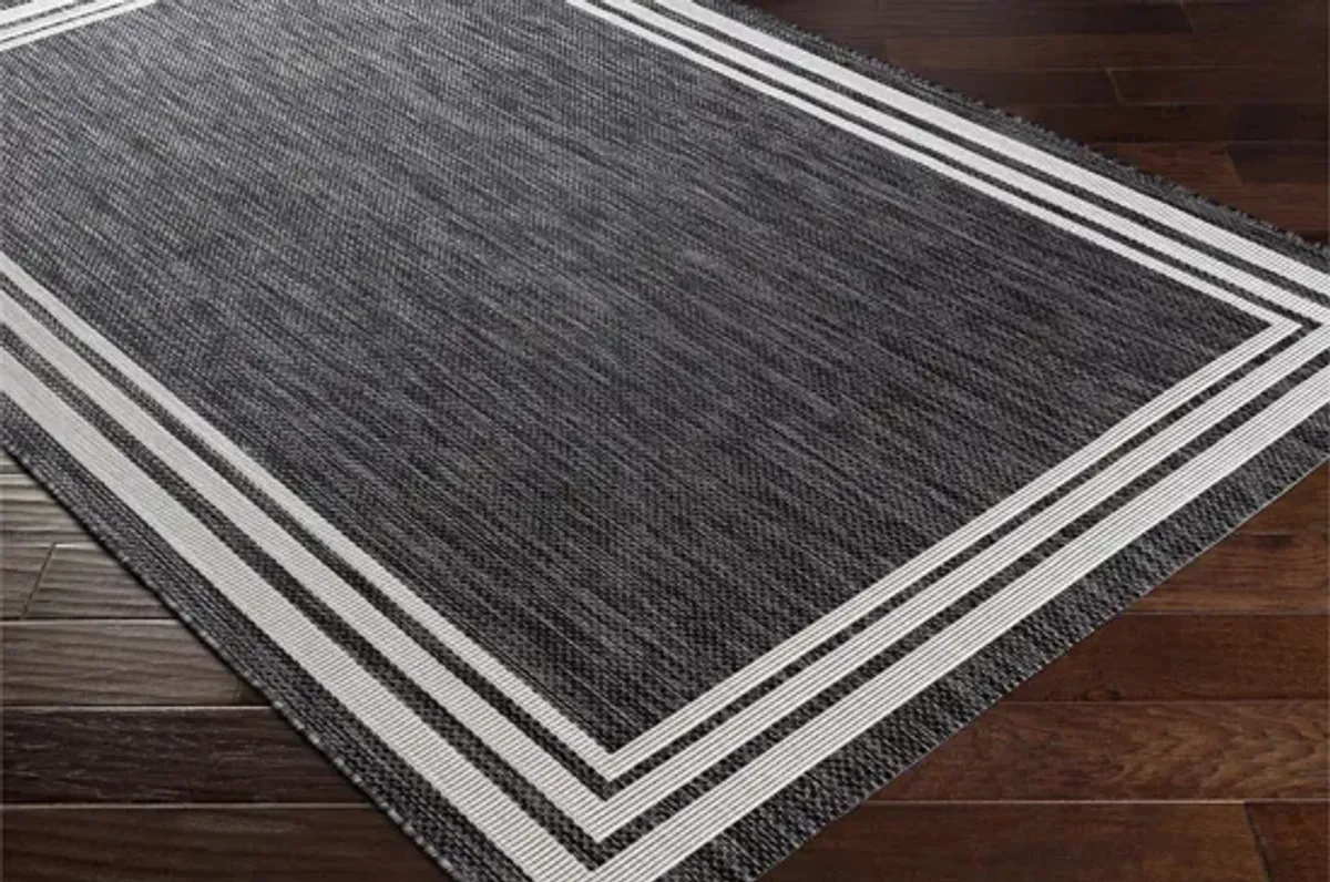 Eagean Bordered Indoor/Outdoor Area Rug