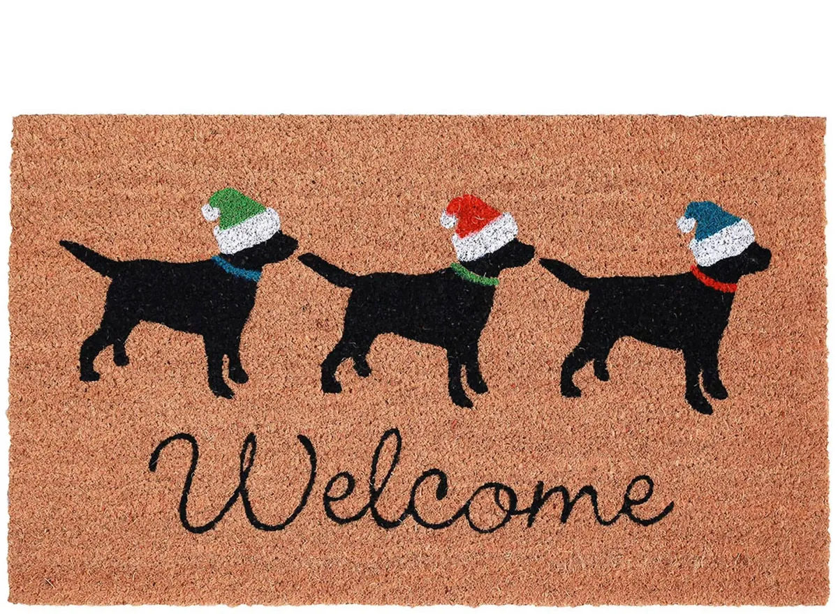 Liora Manne Natura Three Dogs Holiday Outdoor Mat in Natural by Trans-Ocean Import Co Inc