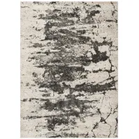 Maxell Area Rug in Ivory/Gray by Nourison