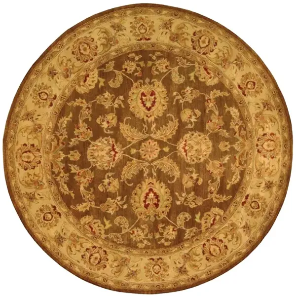 Jaipur Area Rug