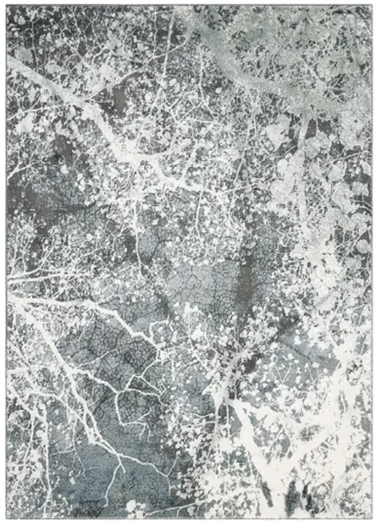 Maxell Area Rug