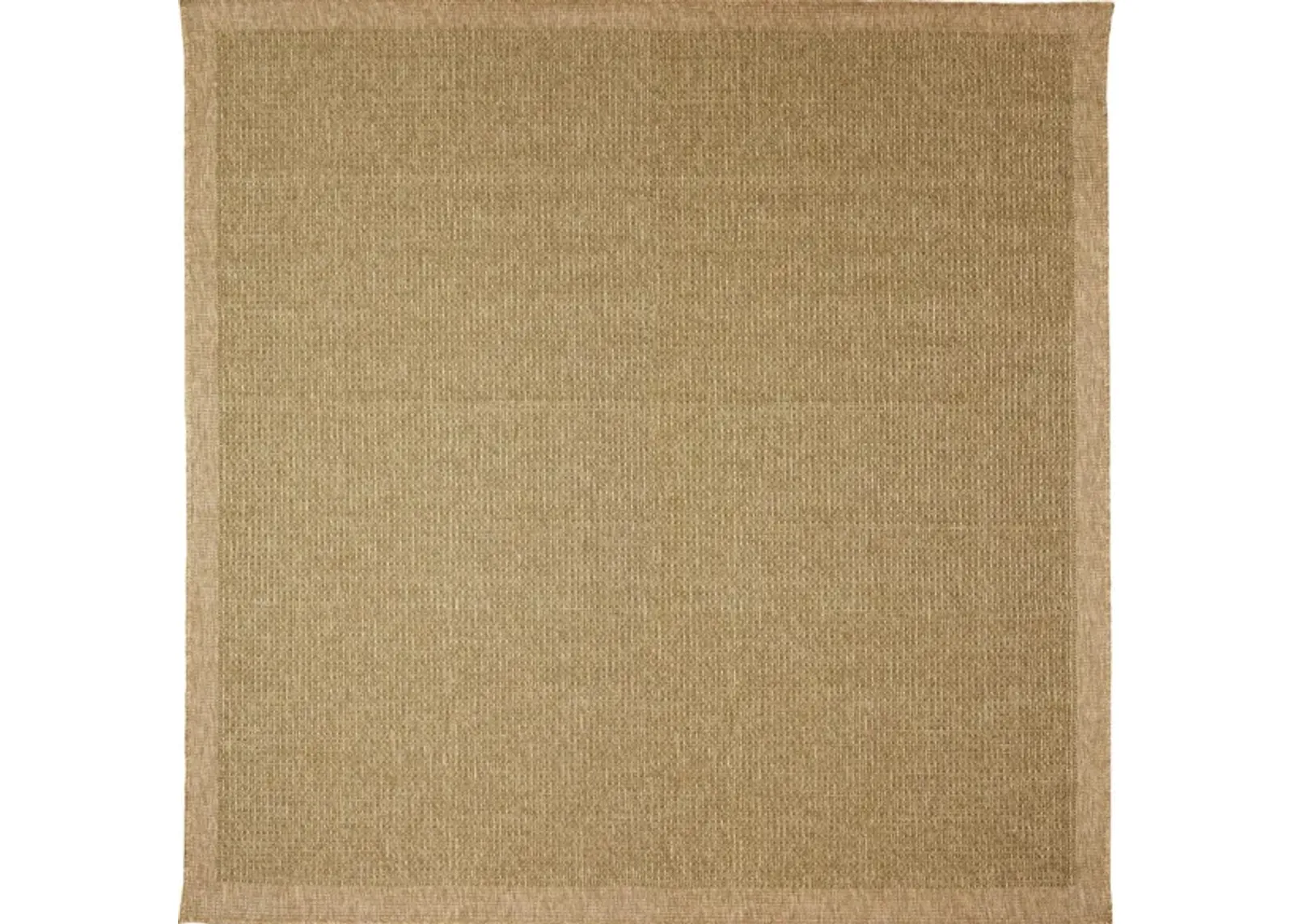 Sahara Indoor/Outdoor Rug in Green by Trans-Ocean Import Co Inc