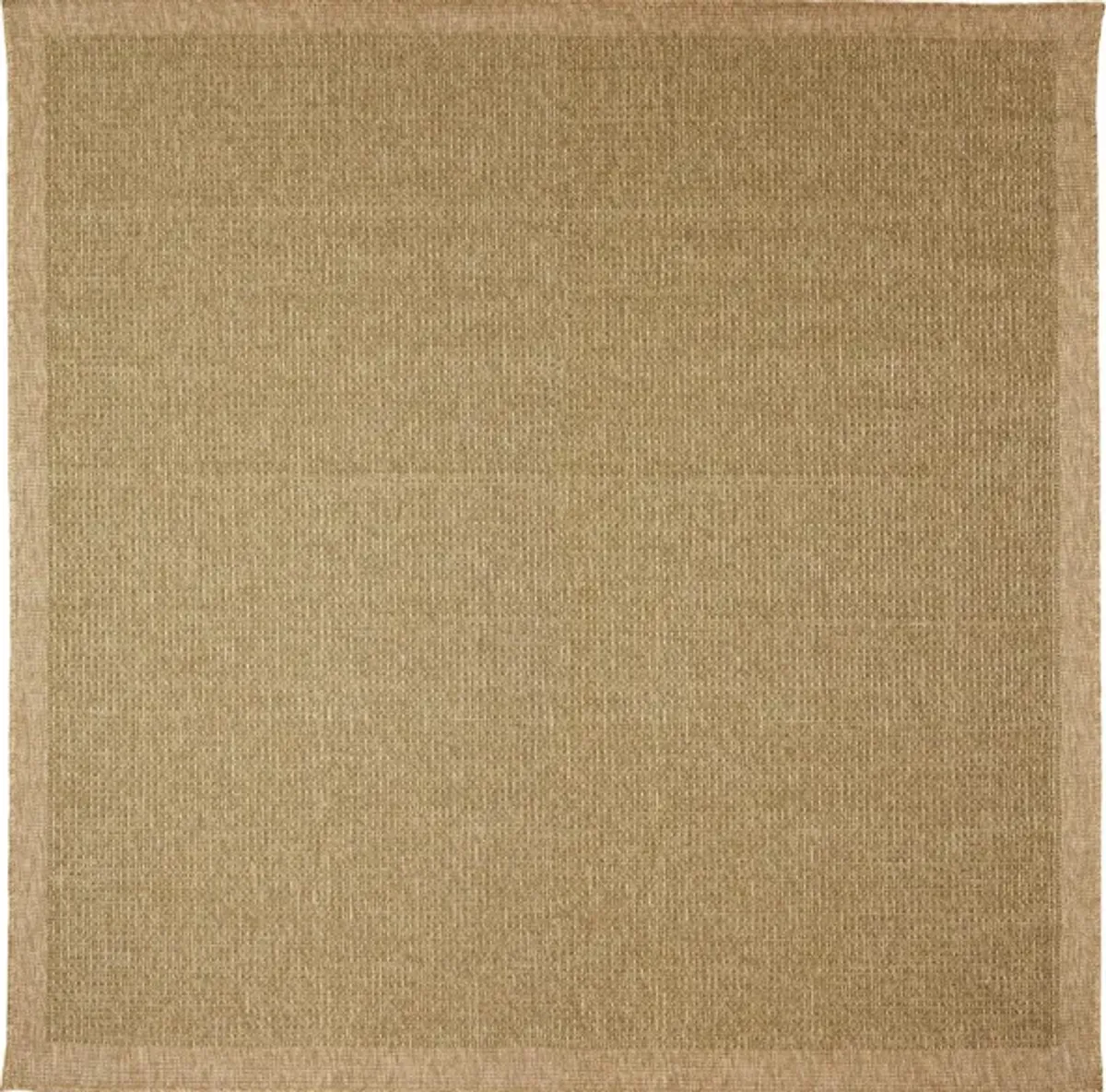 Sahara Indoor/Outdoor Rug in Green by Trans-Ocean Import Co Inc