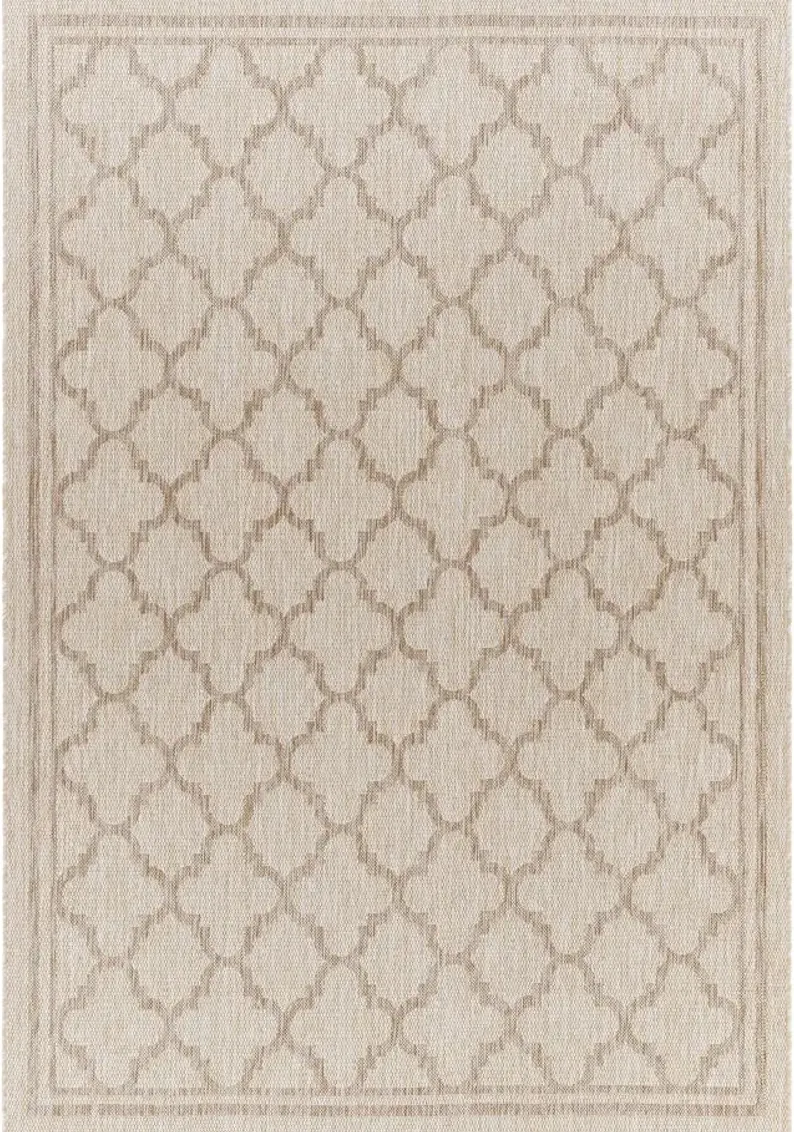 Tuareg Area Rug in Beige, Blue by Surya