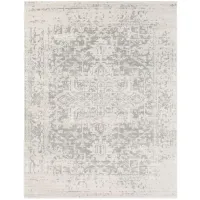 Harput Area Rug in Charcoal, Gray, Beige by Surya