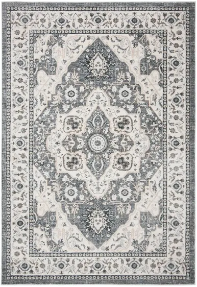 Isabella Area Rug in Gray/Cream by Safavieh