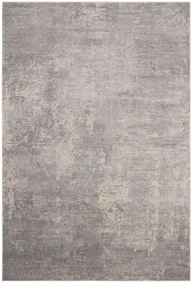 Invista Area Rug in Gray/Cream by Safavieh