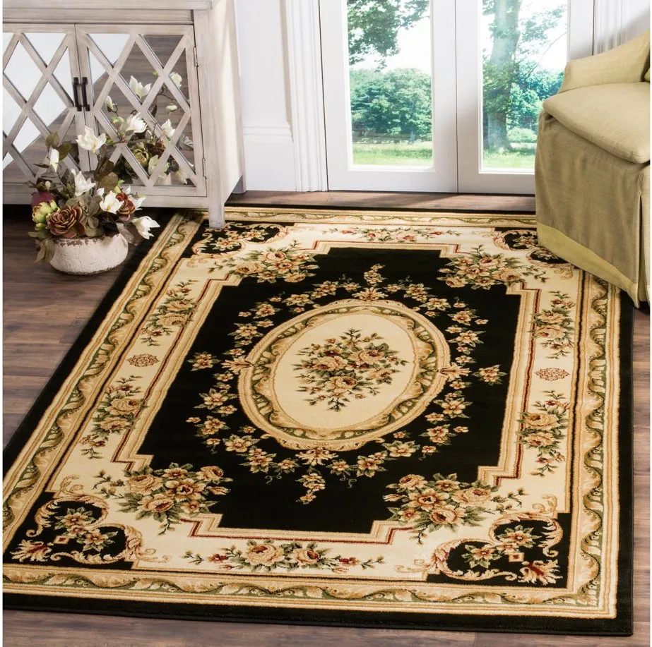 Bisterne Area Rug in Black / Ivory by Safavieh