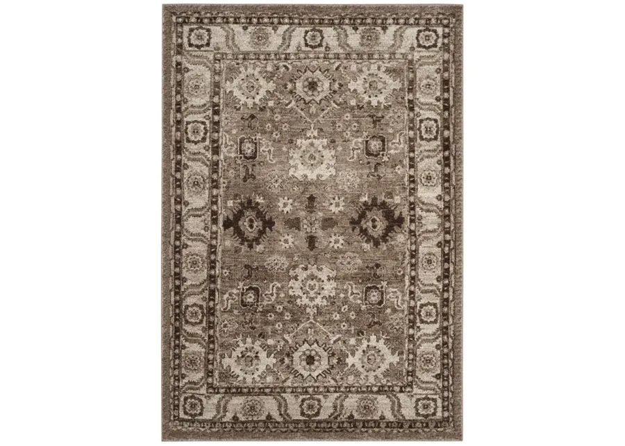 Avicenna Taupe Area Rug in Taupe by Safavieh