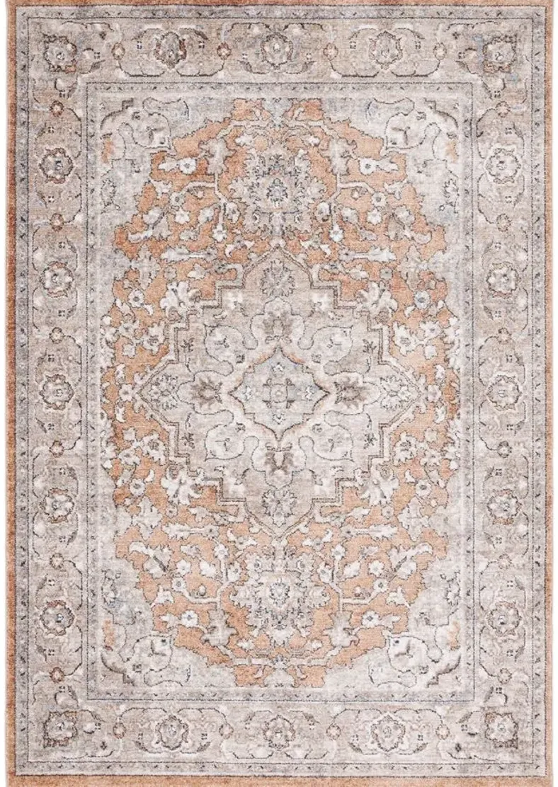 Jasmine Area Rug in Orange & Gray by Safavieh