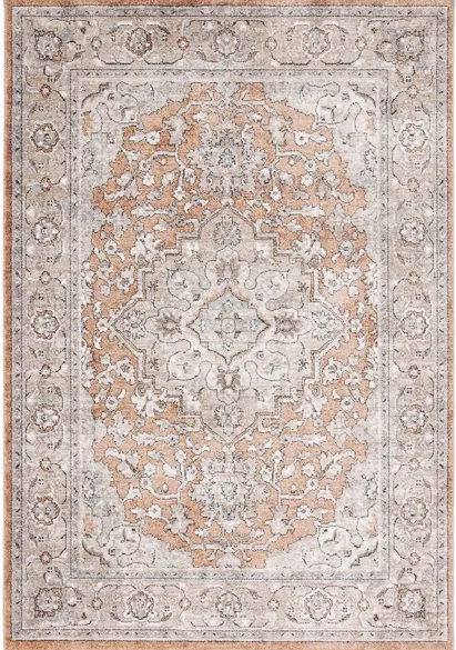 Jasmine Area Rug in Orange & Gray by Safavieh