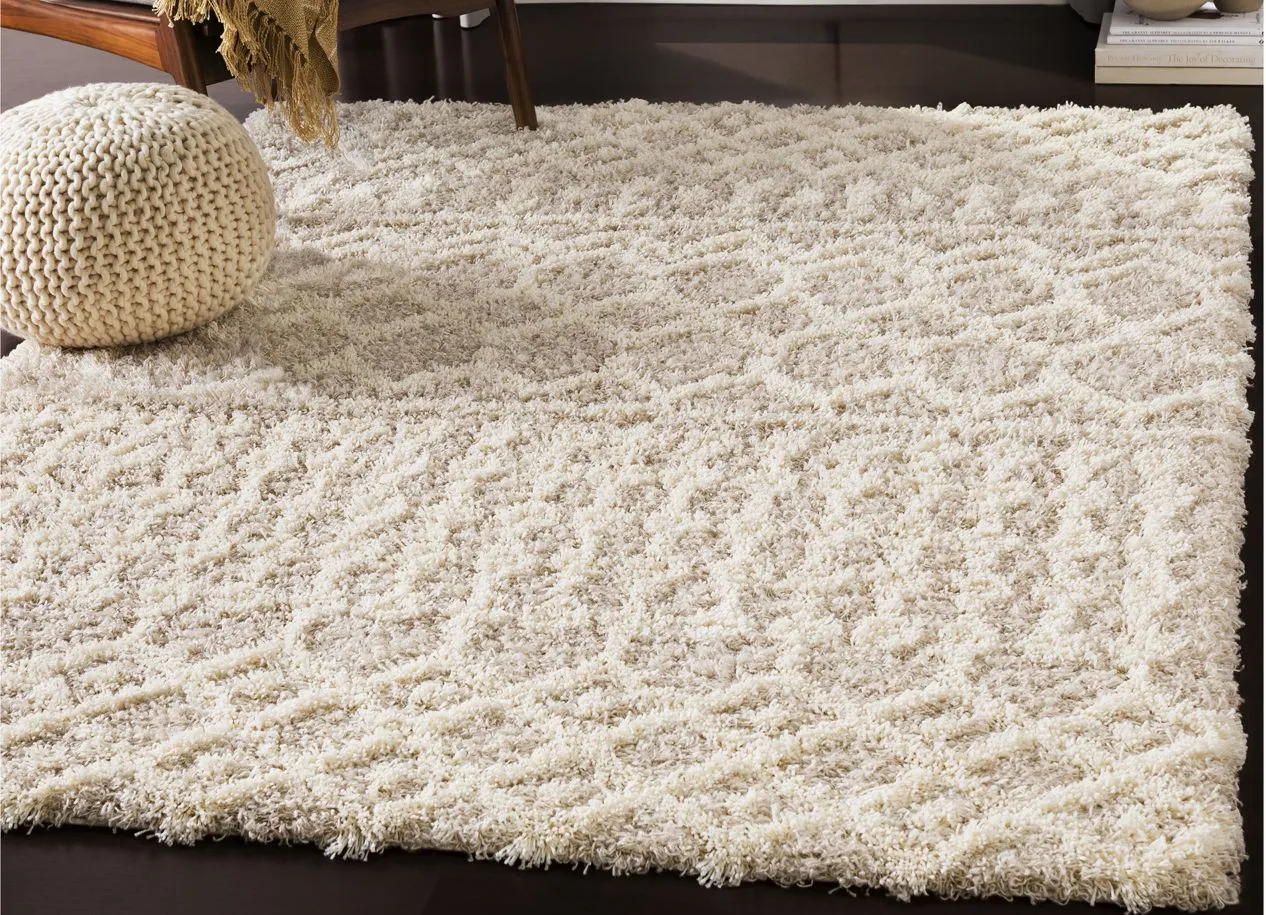 Urban Shag Area Rug in Cream, Beige by Surya