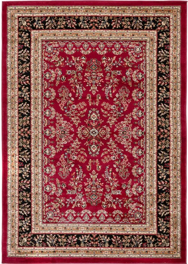 Anglia Area Rug in Red / Black by Safavieh