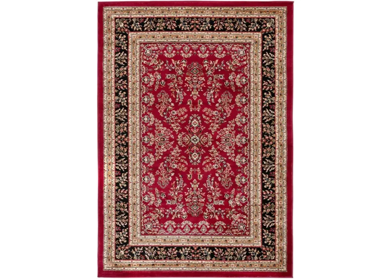 Anglia Area Rug in Red / Black by Safavieh