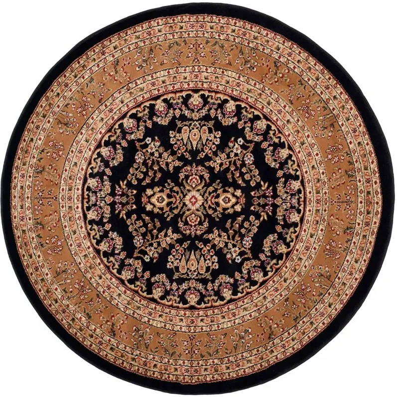 Anglia Area Rug in Black / Tan by Safavieh