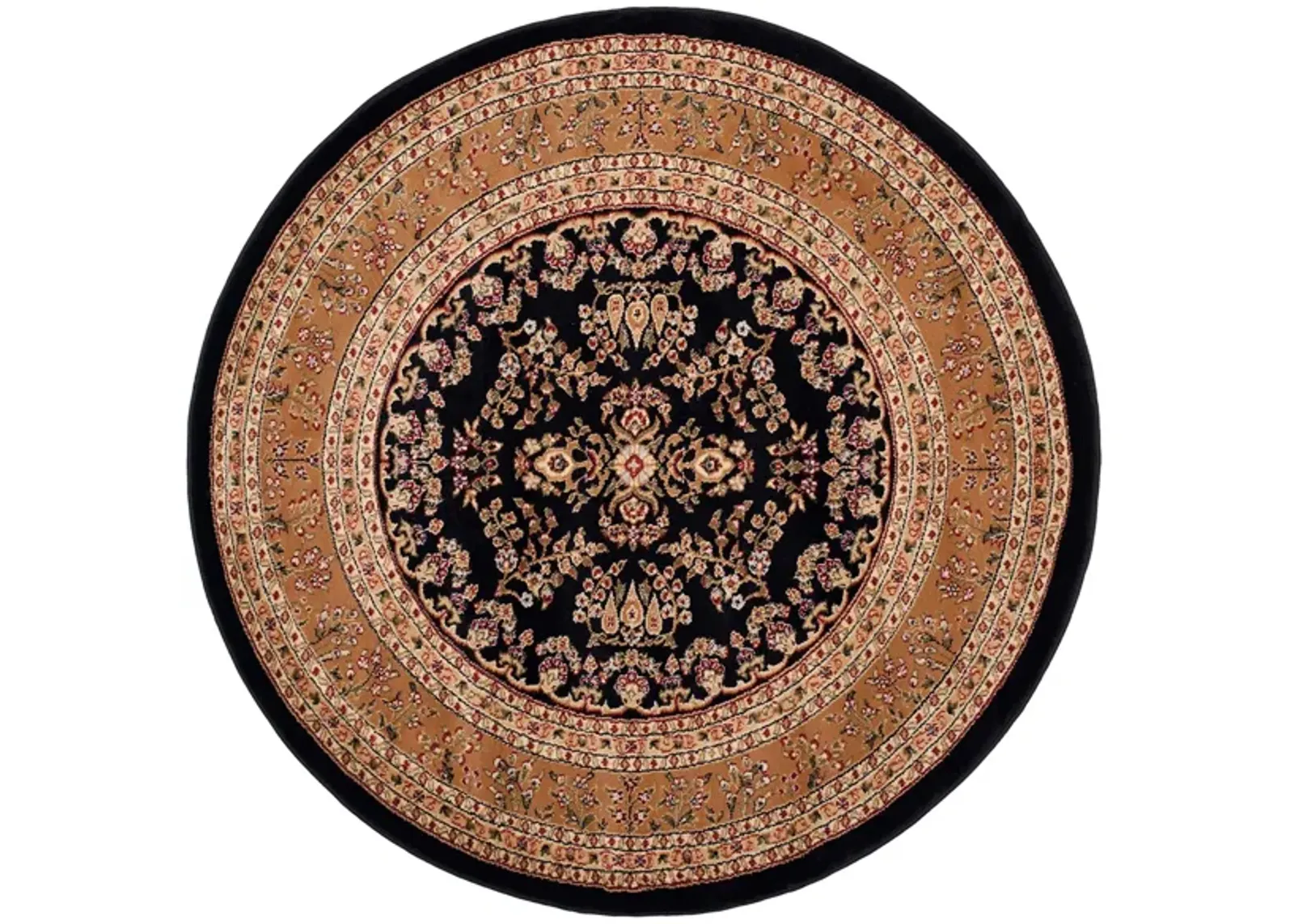 Anglia Area Rug in Black / Tan by Safavieh