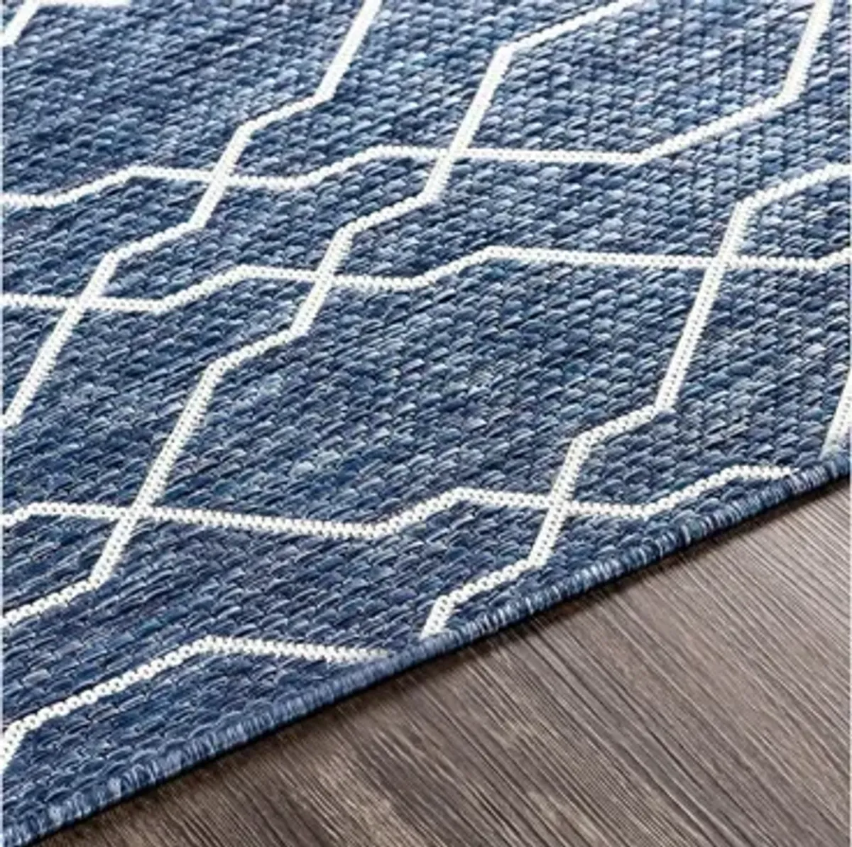 Eagean Link Indoor/Outdoor Area Rug