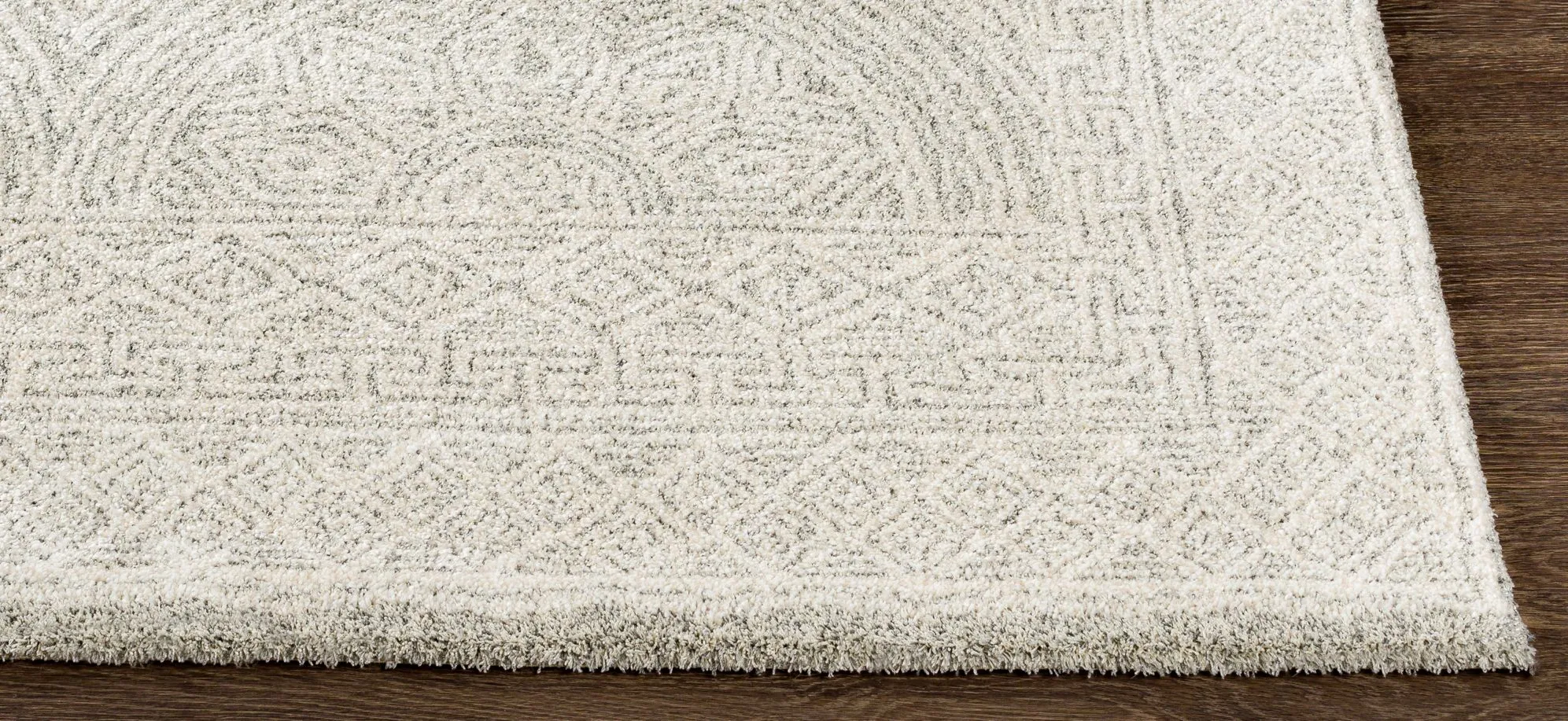 Gavic Rug in Cream, Beige, Light Gray, Taupe, Charcoal by Surya