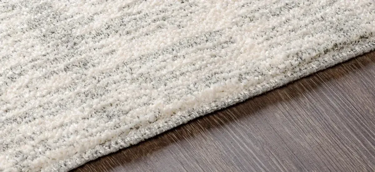 Gavic Rug