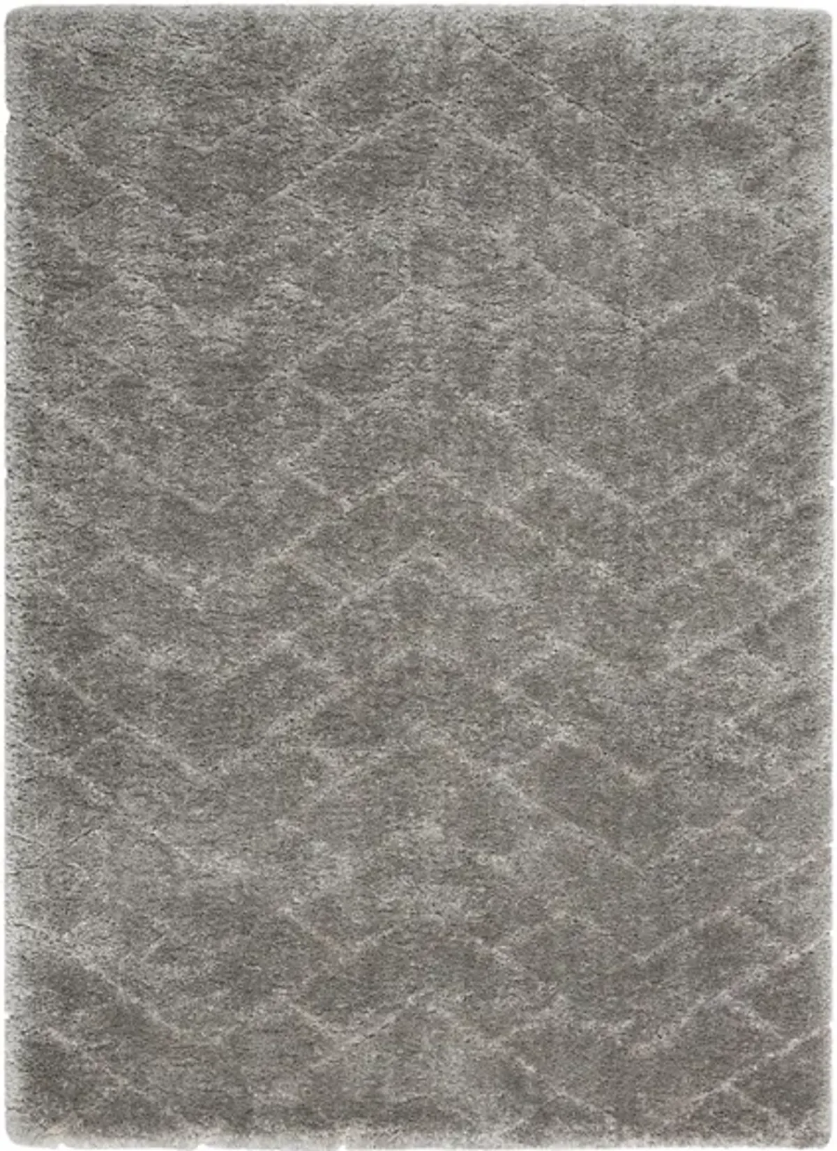 Epicurean Shag Area Rug in Grey by Nourison