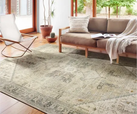 Skye Accent Rug in Natural/Sand by Loloi Rugs
