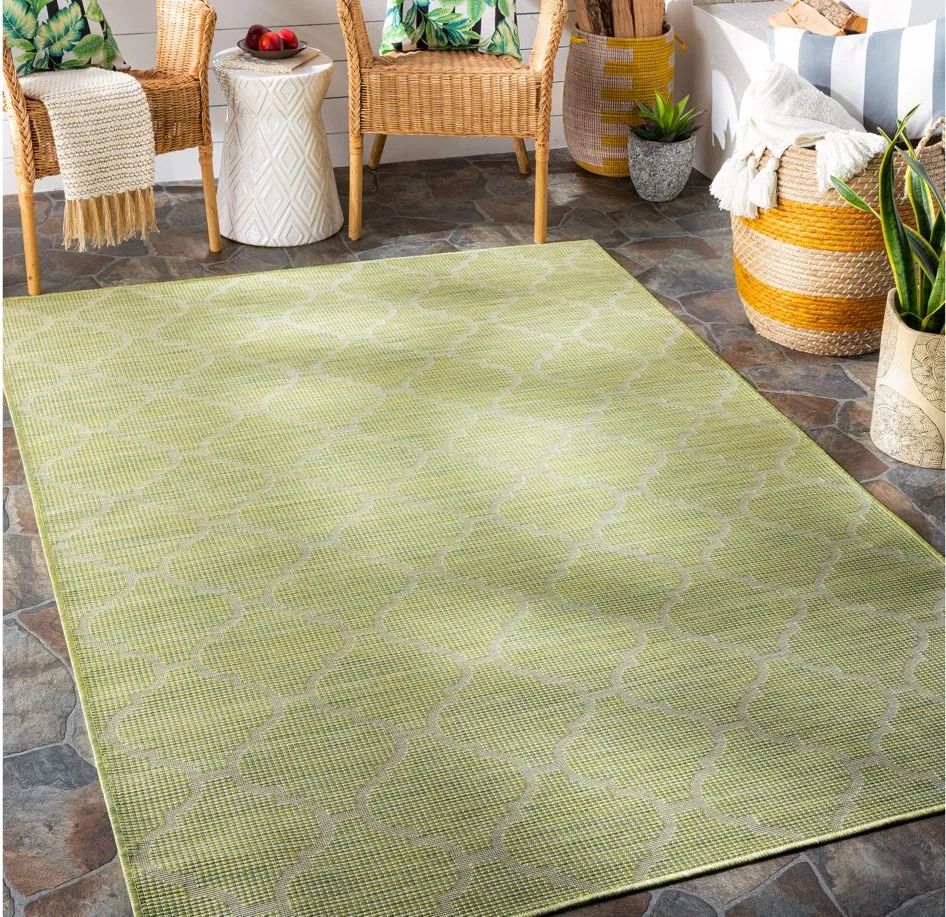 Pasadena Sage Indoor/Outdoor Runner Rug in Grass Green by Surya