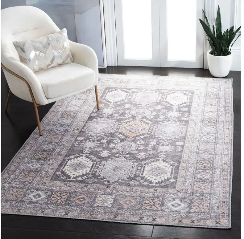 Serapi Area Rug in Gray & Beige by Safavieh