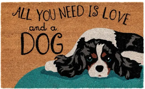 Liora Manne Natura Love And A Dog Outdoor Mat