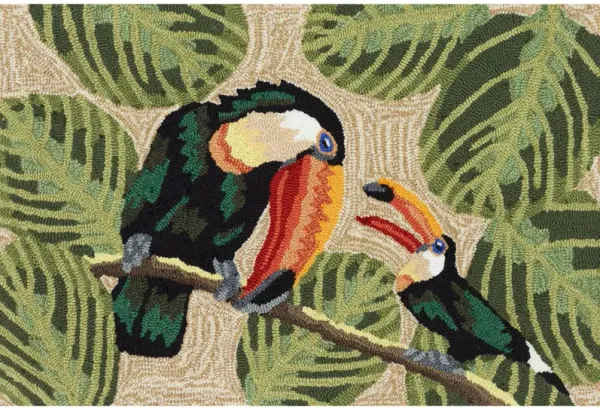 Frontporch Two Cute Toucans Rug