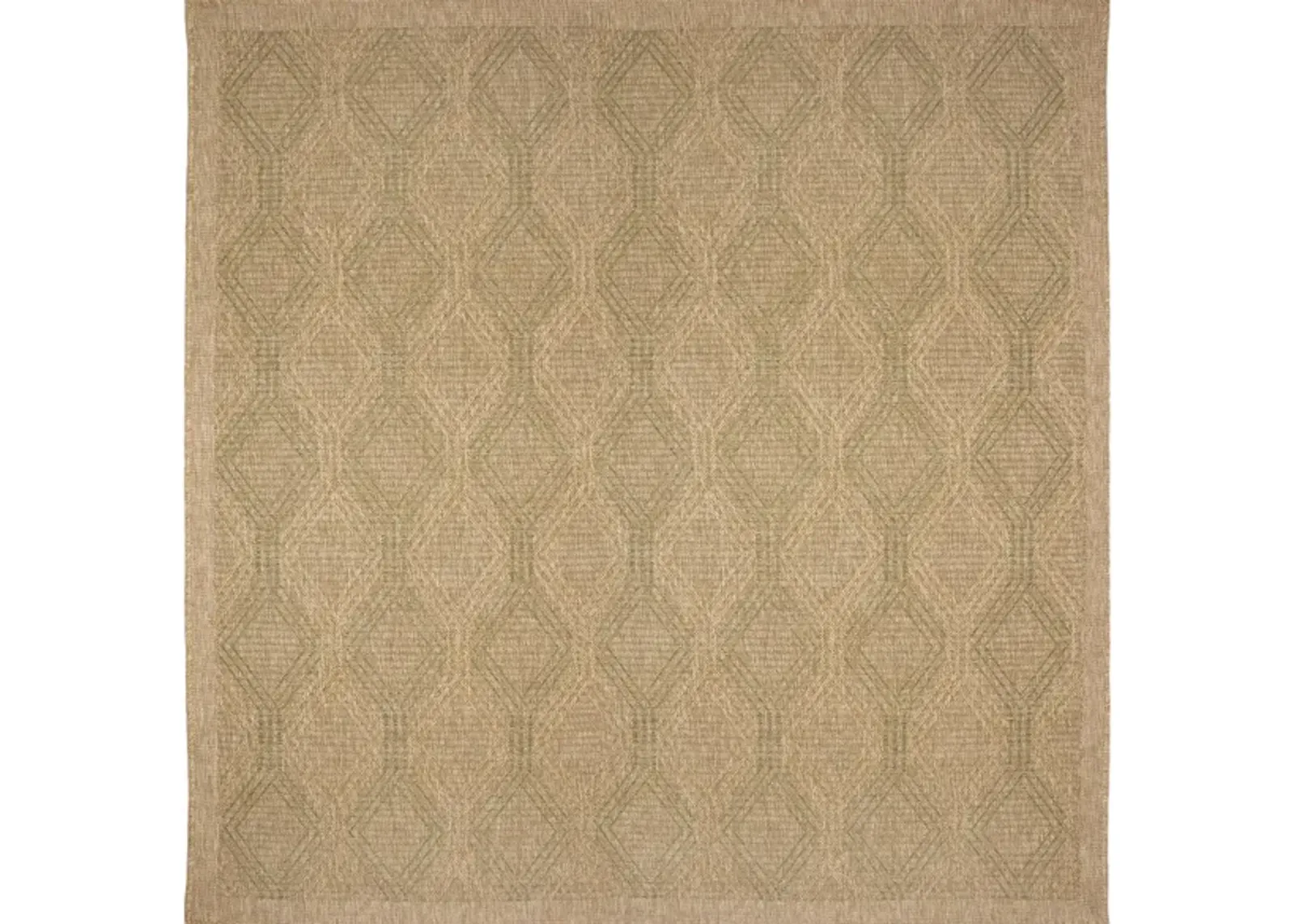 Sahara Indoor/Outdoor Rug in Green by Trans-Ocean Import Co Inc