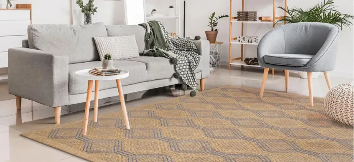 Sahara Indoor/Outdoor Rug