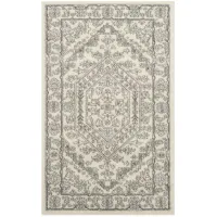 Adirondack Area Rug in Ivory/Silver by Safavieh
