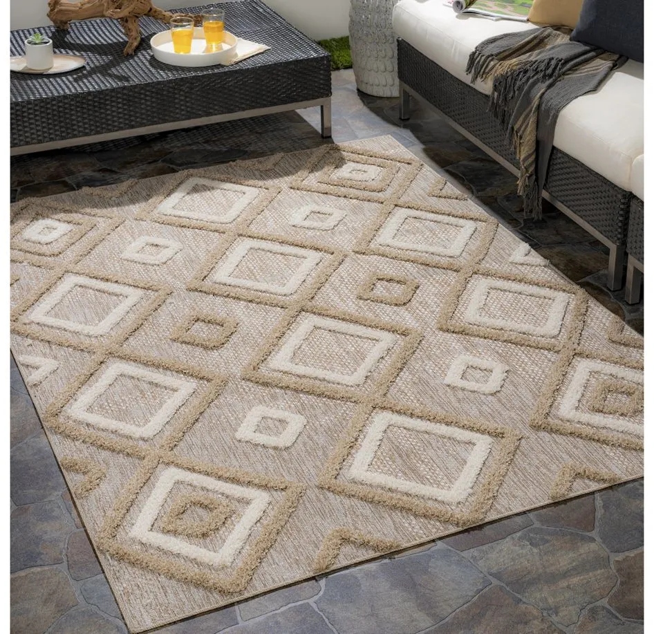 Toledo Area Rug
